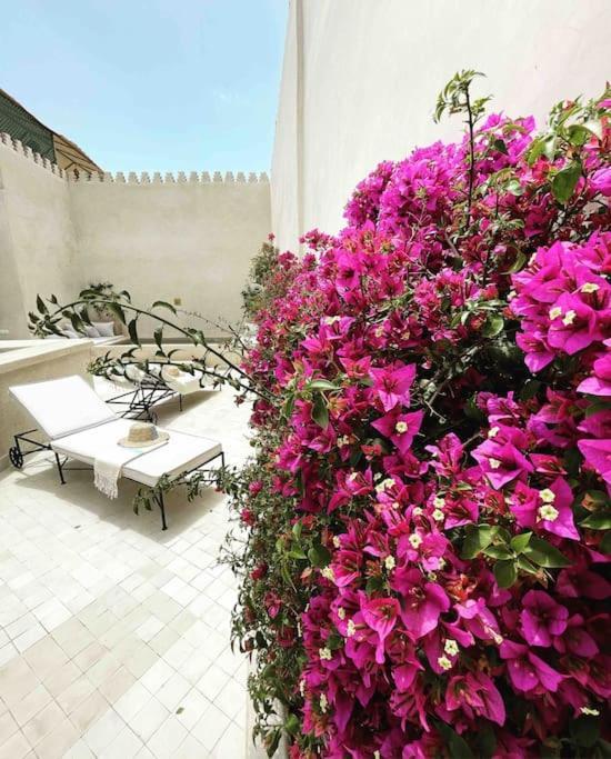 Riad Vivre - Design Boutique Riad In Marrakech Marrakesh Luaran gambar