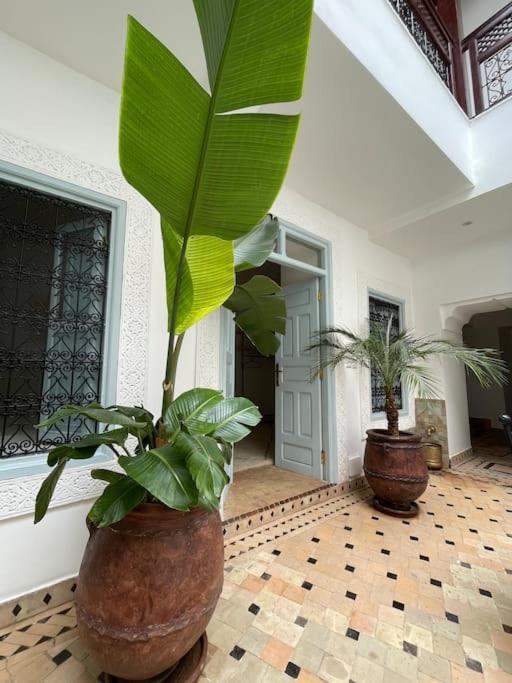Riad Vivre - Design Boutique Riad In Marrakech Marrakesh Luaran gambar